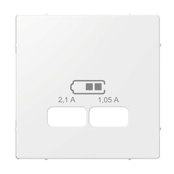 Merten Zentralplatte für USB Ladestation-Einsatz, System M, (polarweiß  glänzend) | Elektroversand Schmidt GmbH